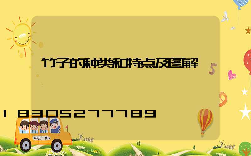 竹子的种类和特点及图解