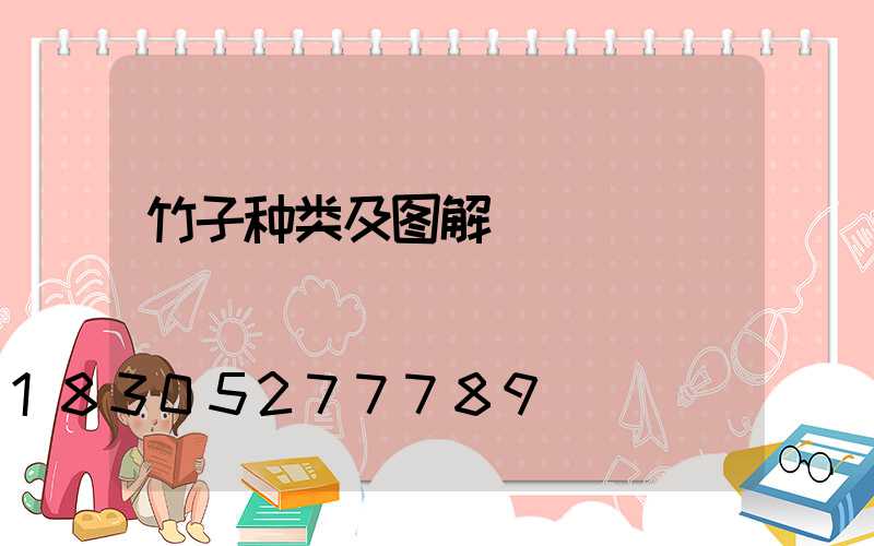 竹子种类及图解