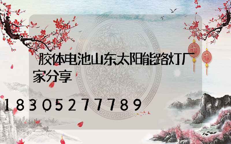 胶体电池山东太阳能路灯厂家分享