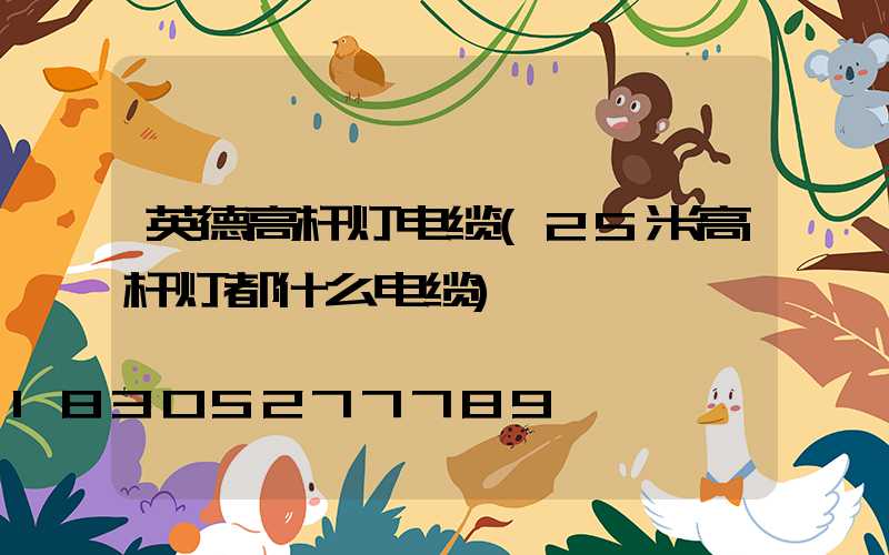 英德高杆灯电缆(25米高杆灯都什么电缆)