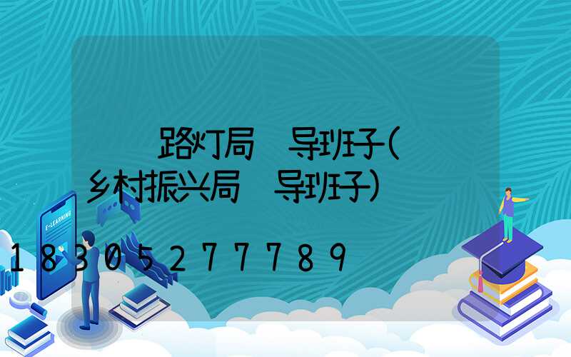 荆门路灯局领导班子(荆门乡村振兴局领导班子)