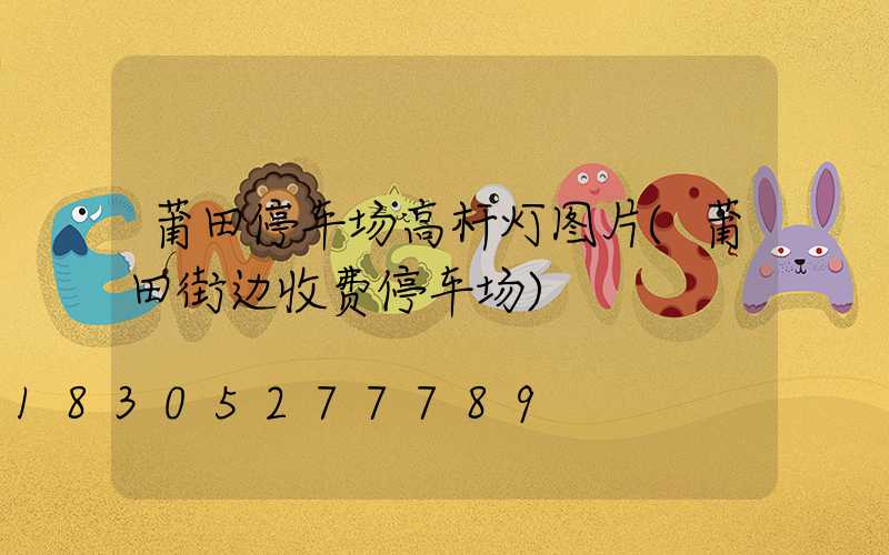 莆田停车场高杆灯图片(莆田街边收费停车场)