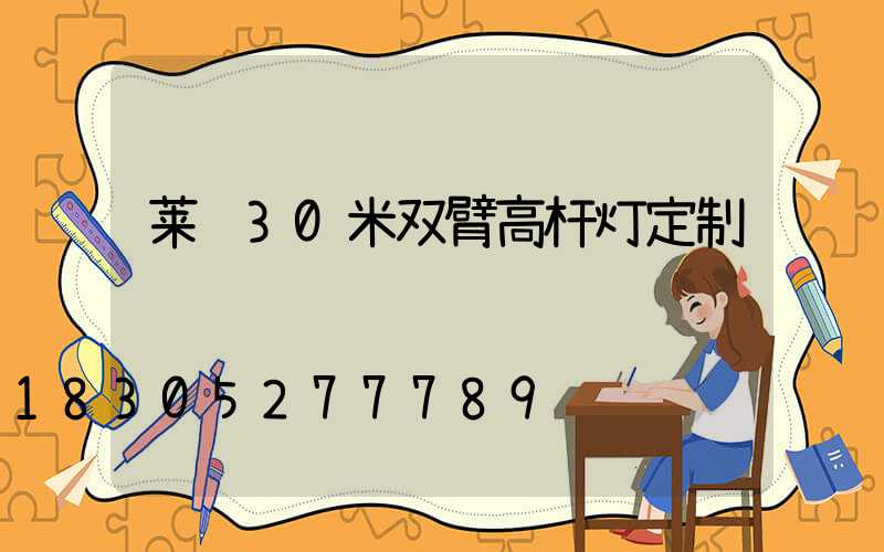 莱芜30米双臂高杆灯定制