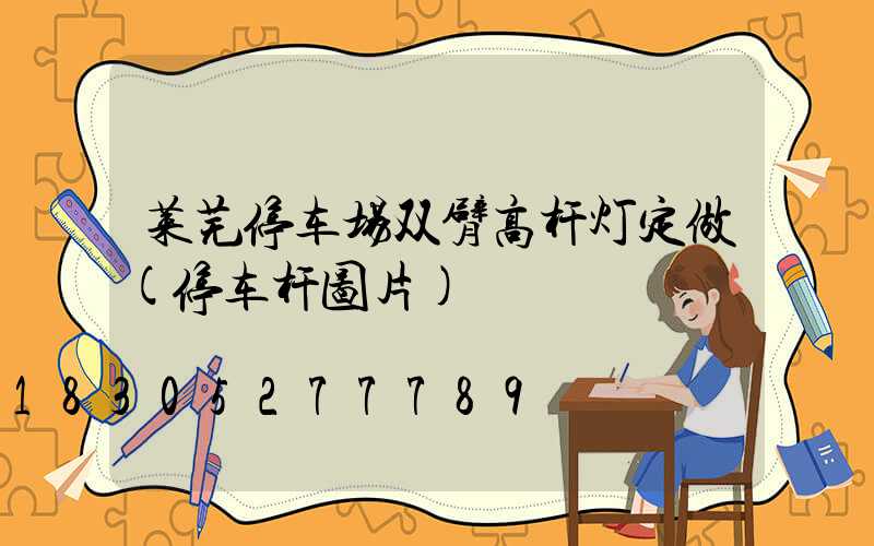 莱芜停车场双臂高杆灯定做(停车杆图片)