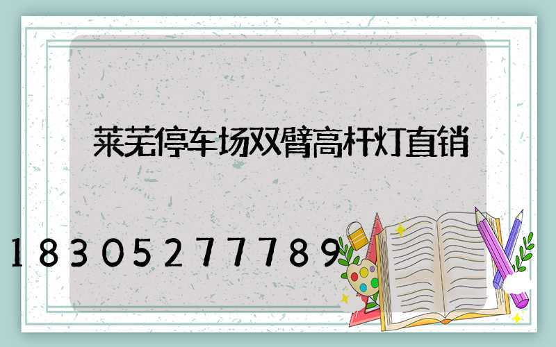 莱芜停车场双臂高杆灯直销