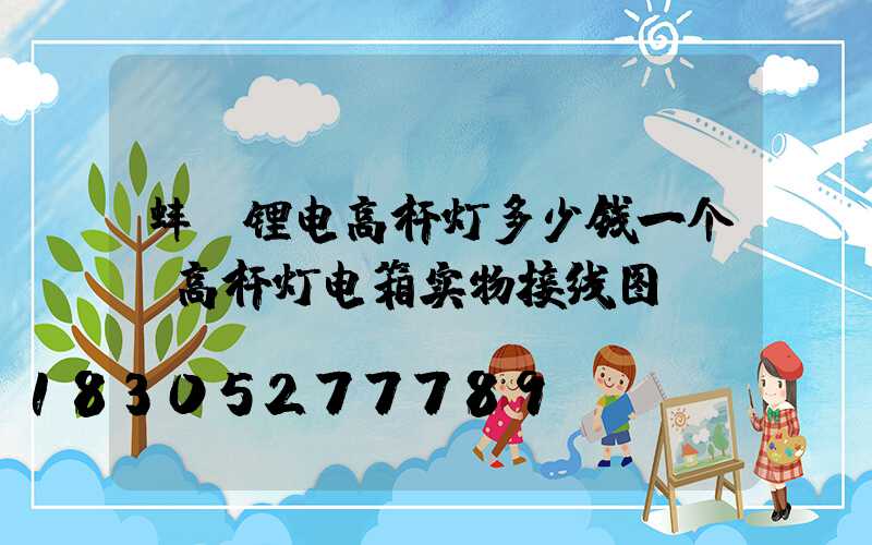 蚌埠锂电高杆灯多少钱一个(高杆灯电箱实物接线图)