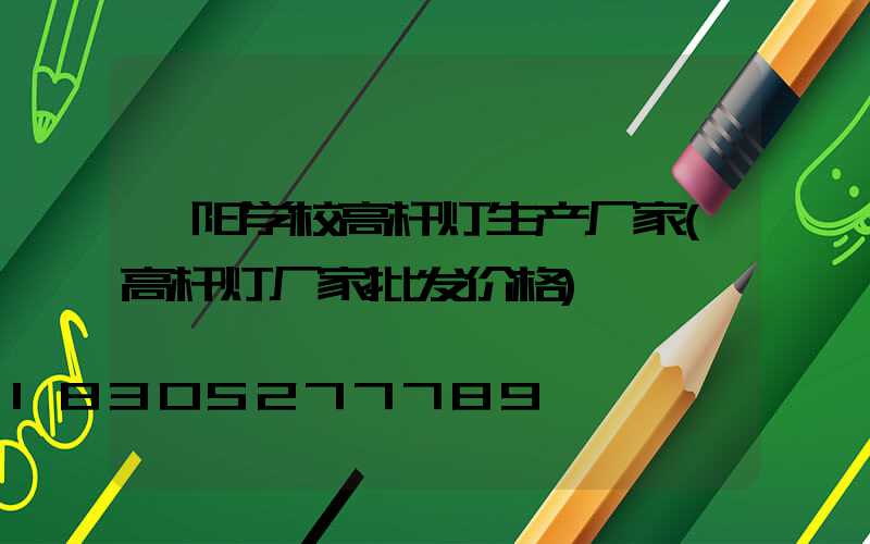 襄阳学校高杆灯生产厂家(高杆灯厂家批发价格)