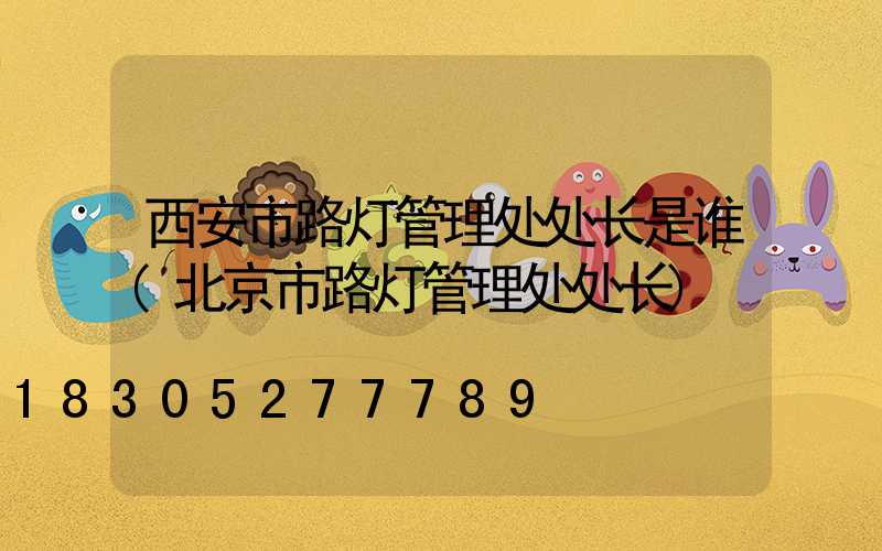 西安市路灯管理处处长是谁(北京市路灯管理处处长)