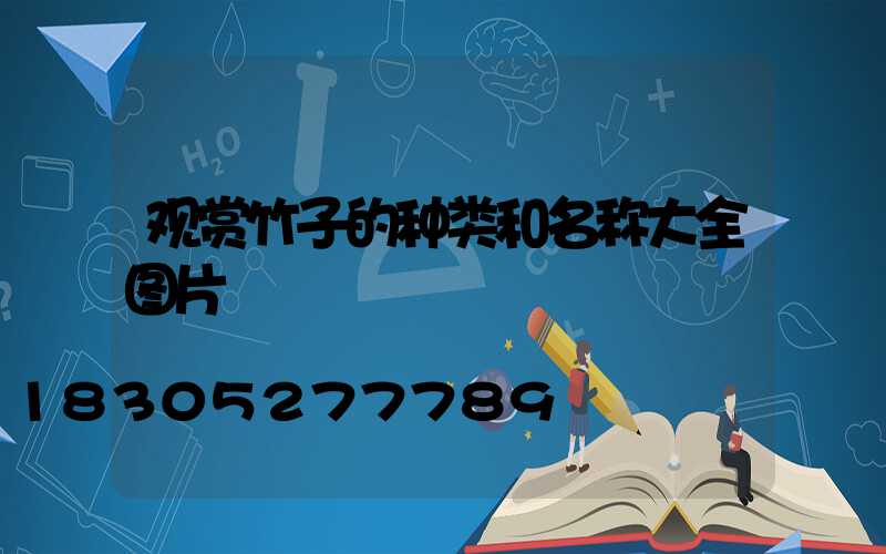 观赏竹子的种类和名称大全图片