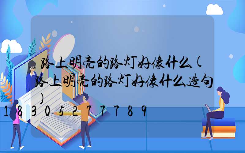 路上明亮的路灯好像什么(路上明亮的路灯好像什么造句)