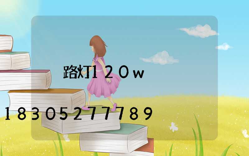 路灯120w