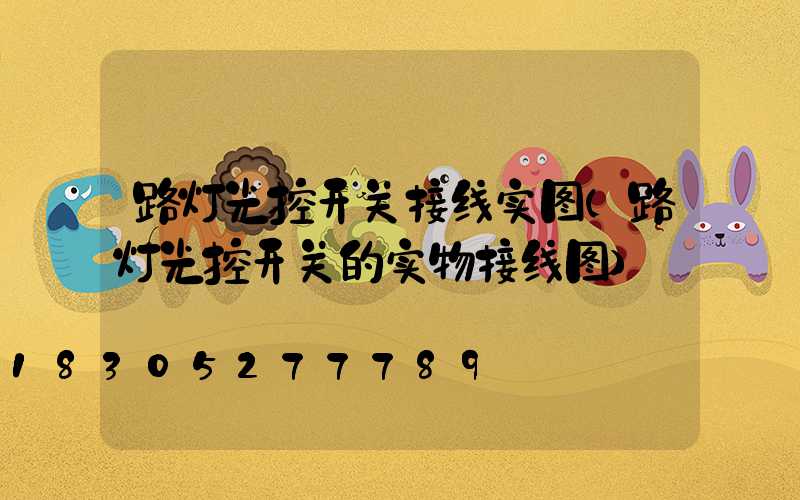 路灯光控开关接线实图(路灯光控开关的实物接线图)
