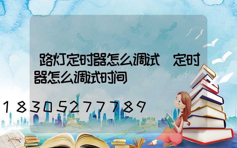 路灯定时器怎么调试(定时器怎么调试时间)