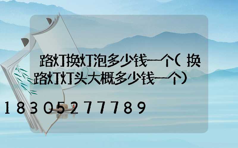 路灯换灯泡多少钱一个(换路灯灯头大概多少钱一个)
