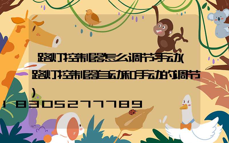 路灯控制器怎么调节手动(路灯控制器自动和手动的调节)