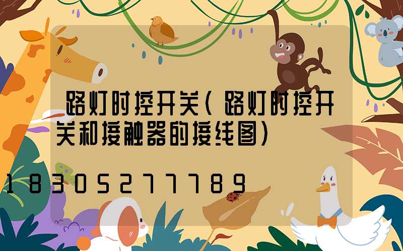 路灯时控开关(路灯时控开关和接触器的接线图)
