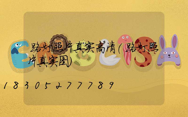路灯照片真实高清(路灯照片真实图)
