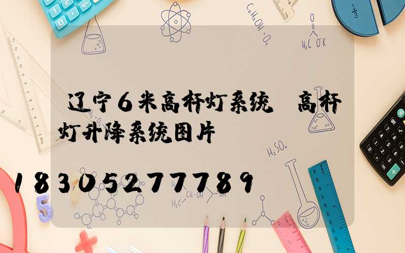 辽宁6米高杆灯系统(高杆灯升降系统图片)
