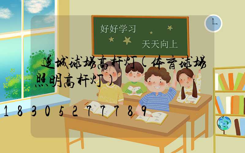 运城球场高杆灯(体育球场照明高杆灯)