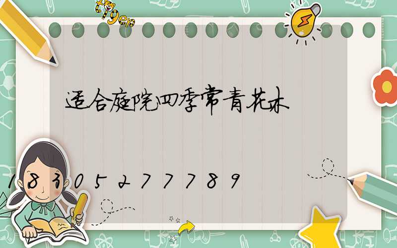 适合庭院四季常青花木