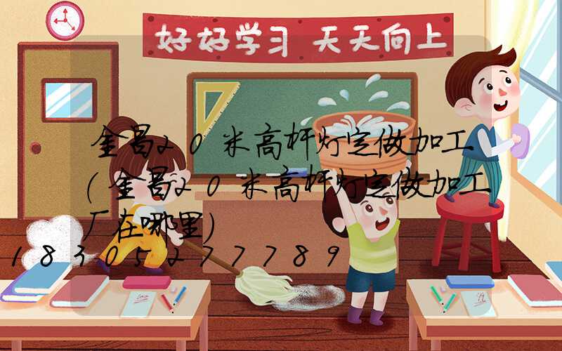 金昌20米高杆灯定做加工(金昌20米高杆灯定做加工厂在哪里)