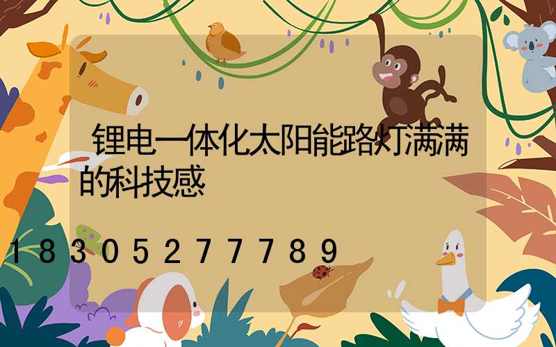 锂电一体化太阳能路灯满满的科技感