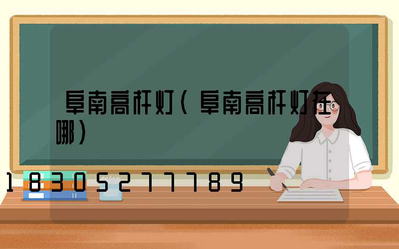 阜南高杆灯(阜南高杆灯在哪)