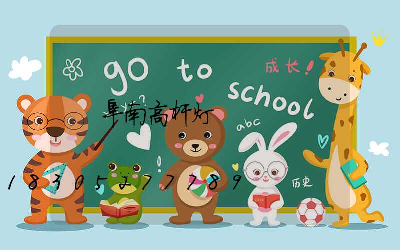 阜南高杆灯