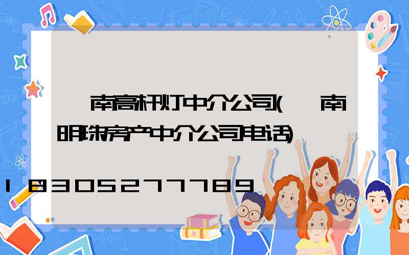阜南高杆灯中介公司(阜南明珠房产中介公司电话)