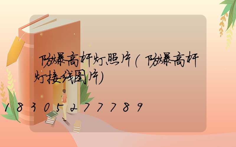 防爆高杆灯照片(防爆高杆灯接线图片)