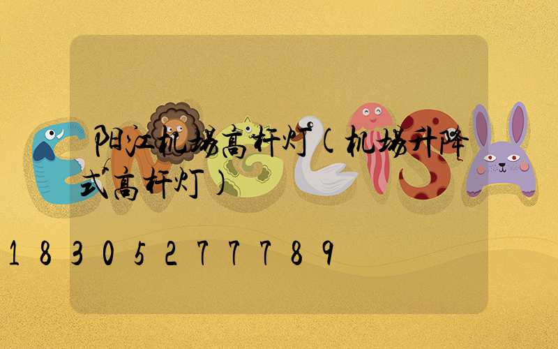 阳江机场高杆灯(机场升降式高杆灯)