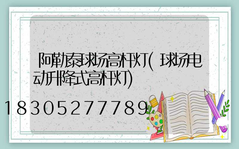 阿勒泰球场高杆灯(球场电动升降式高杆灯)