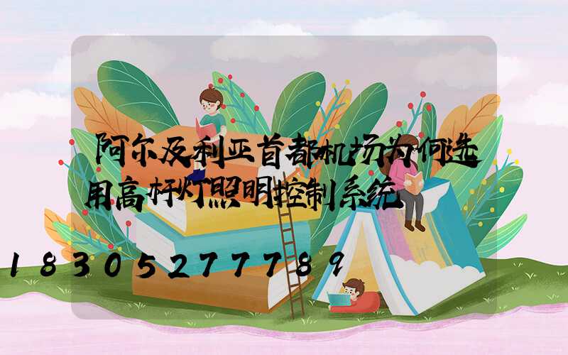 阿尔及利亚首都机场为何选用高杆灯照明控制系统