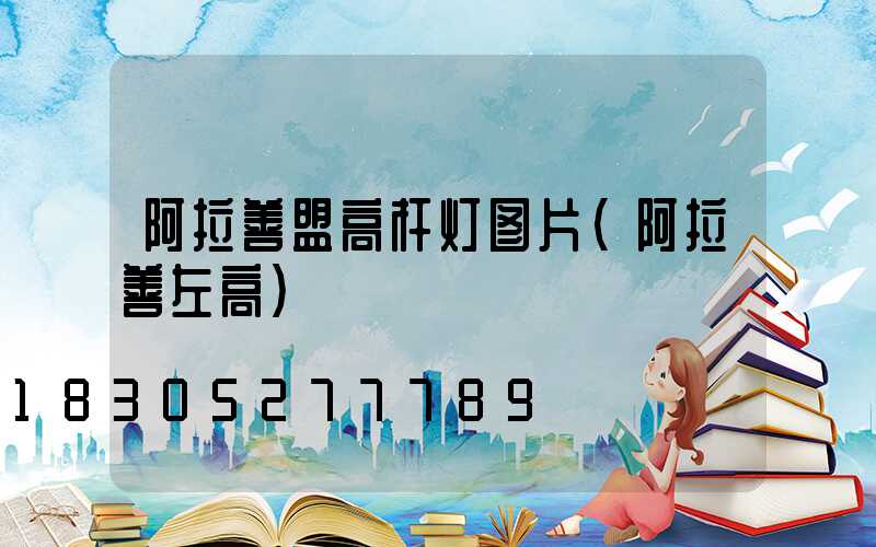 阿拉善盟高杆灯图片(阿拉善左高)