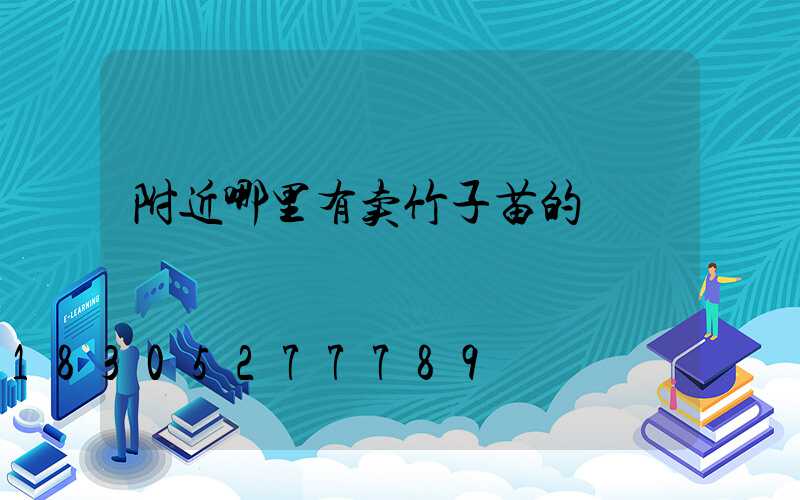 附近哪里有卖竹子苗的