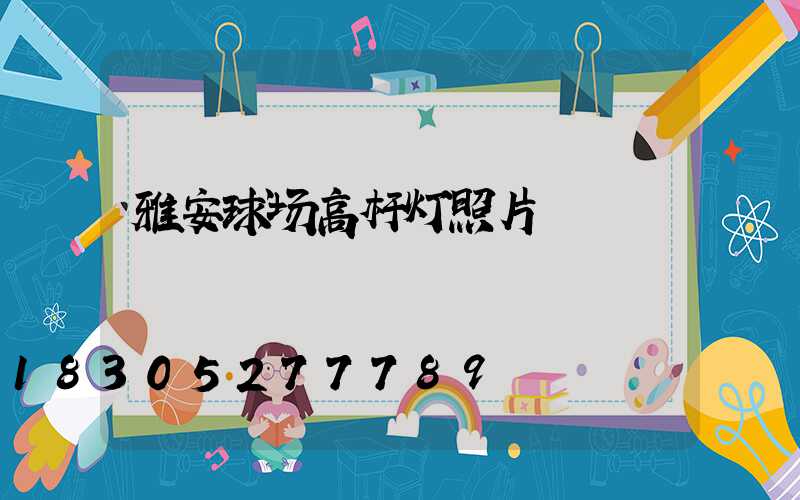 雅安球场高杆灯照片