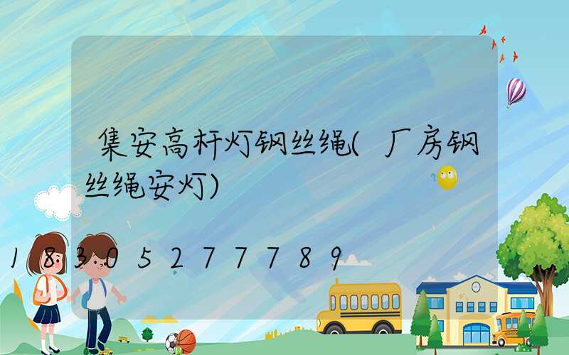 集安高杆灯钢丝绳(厂房钢丝绳安灯)