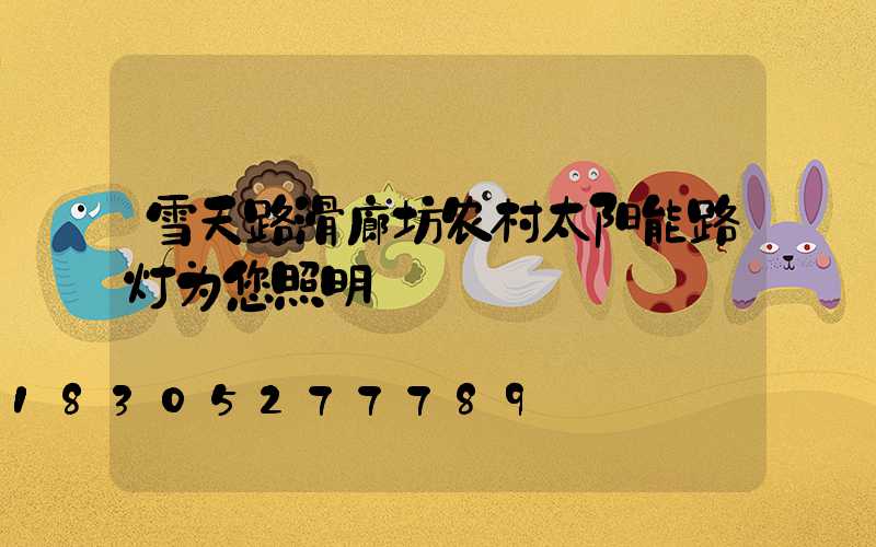 雪天路滑廊坊农村太阳能路灯为您照明