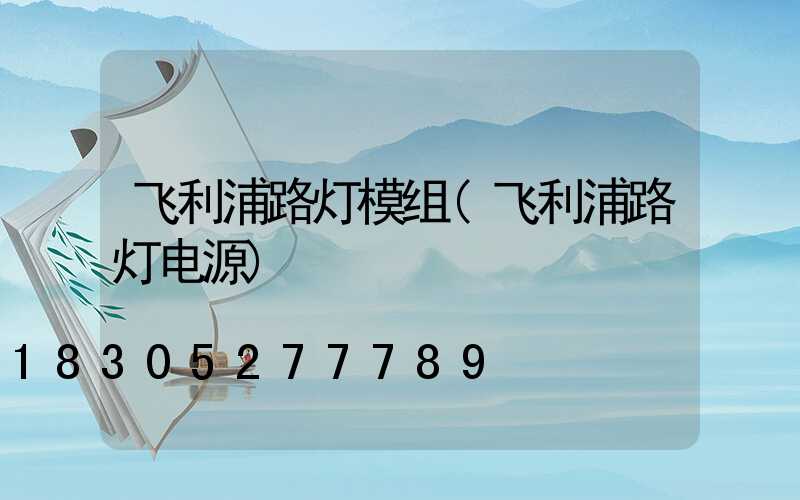 飞利浦路灯模组(飞利浦路灯电源)