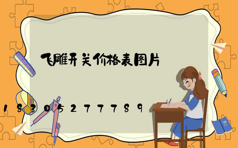 飞雕开关价格表图片