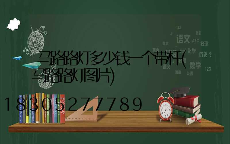马路路灯多少钱一个带杆(马路路灯图片)
