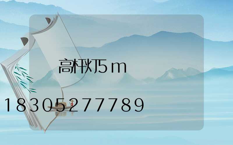 高杆灯5m