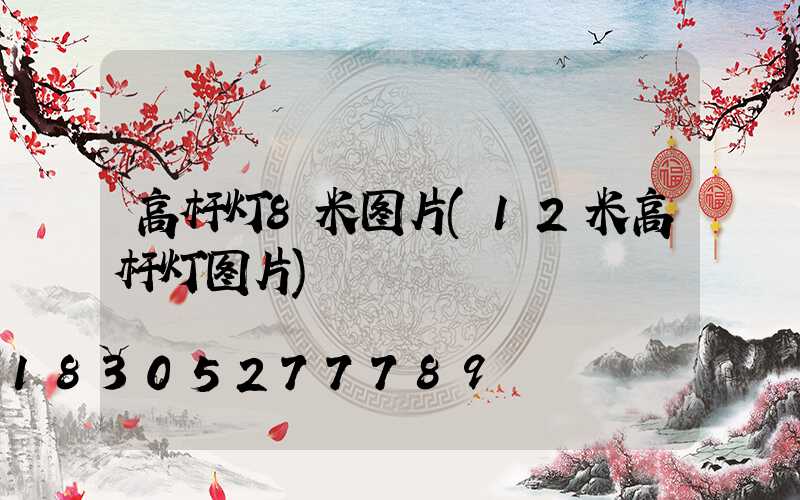 高杆灯8米图片(12米高杆灯图片)