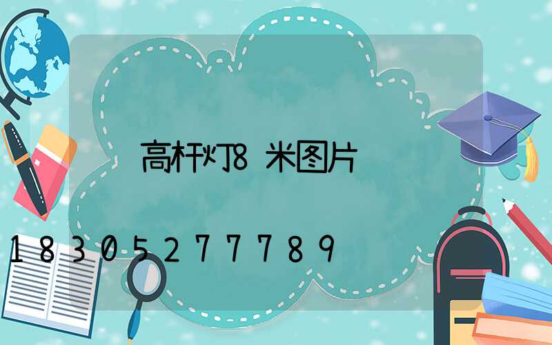 高杆灯8米图片