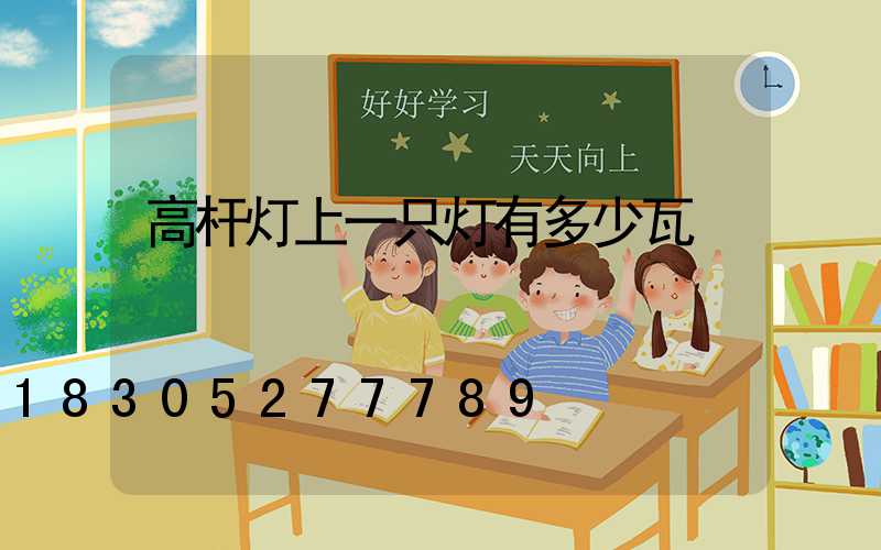 高杆灯上一只灯有多少瓦