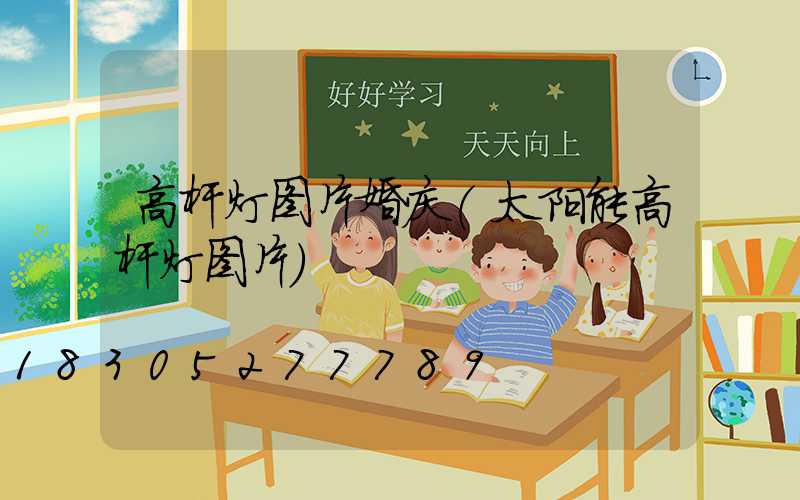高杆灯图片婚庆(太阳能高杆灯图片)