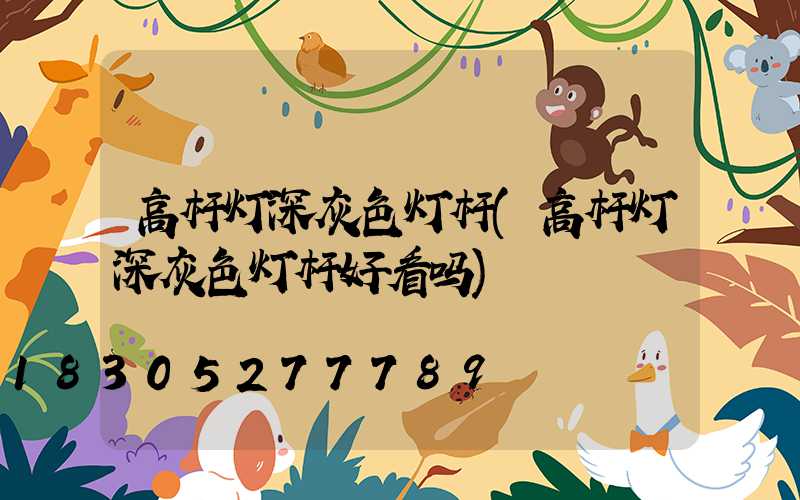 高杆灯深灰色灯杆(高杆灯深灰色灯杆好看吗)