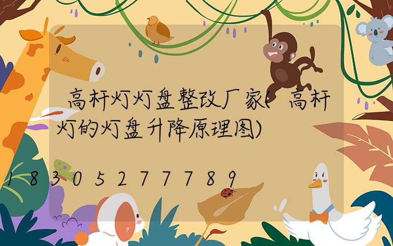 高杆灯灯盘整改厂家(高杆灯的灯盘升降原理图)