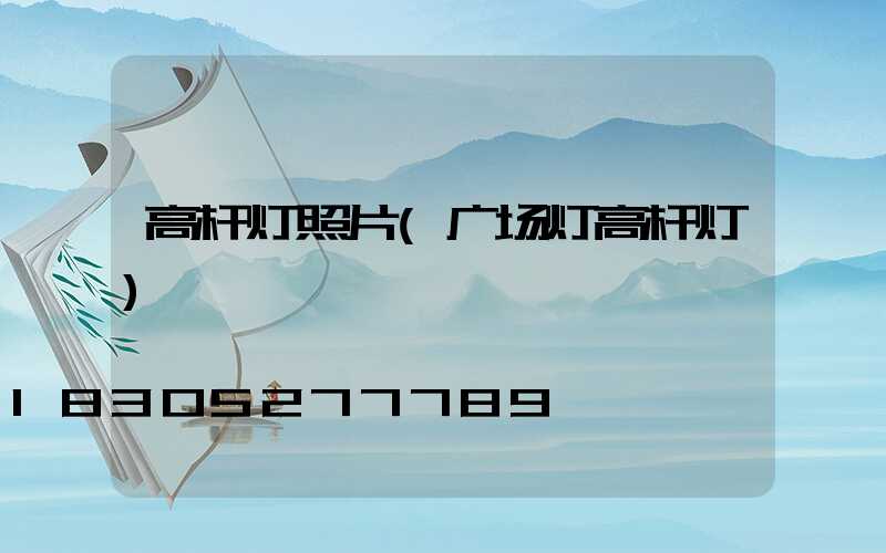 高杆灯照片(广场灯高杆灯)