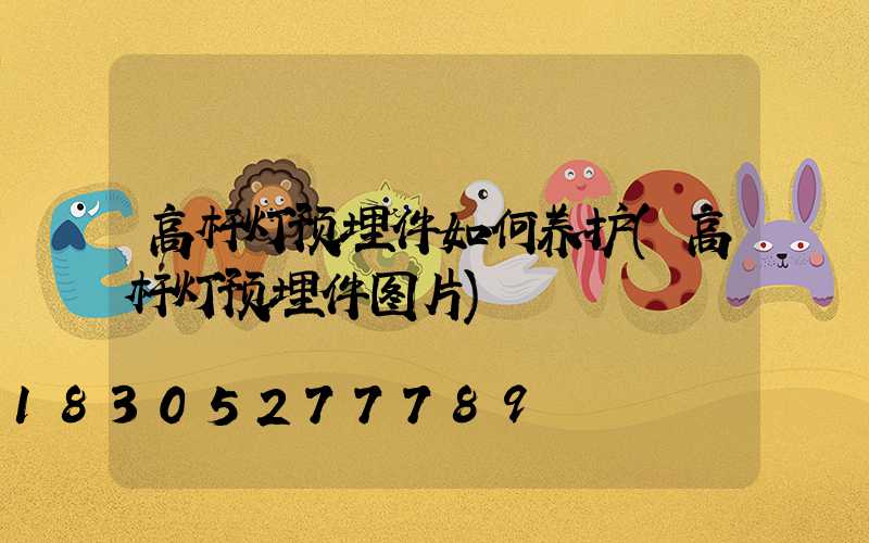 高杆灯预埋件如何养护(高杆灯预埋件图片)